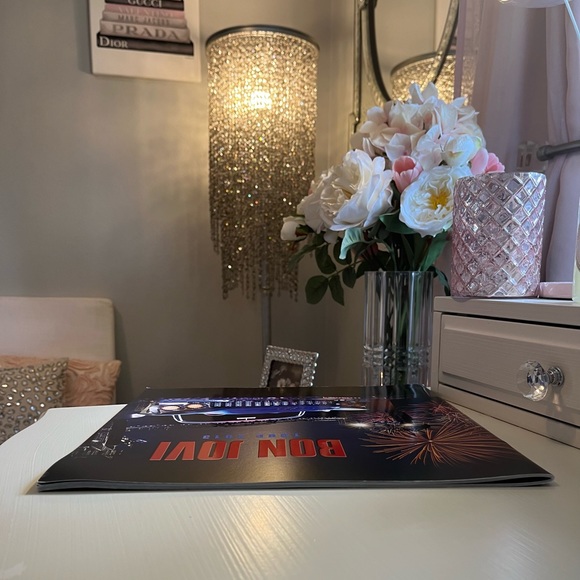 🎸2013 Original Bon Jovi “Because We Can” Concert Tour Program.🎸 - Picture 11 of 13